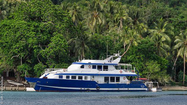 Séjour plongée en Papouasie Nouvelle Guinée, avec hébergement en bateau et hôtel