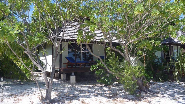 Bungalow sur la plage ou sur pilotis : vos hébergements lors de ce séjour plongée à Tahiti, Rangiroa et Fakarava vous séduiront