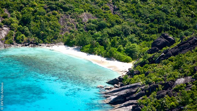Les Seychelles terre et mer, un concentré de beauté pour les plongeurs en croisière !