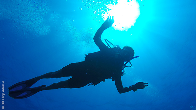 Des vacances aux Bahamas, en couple, avec découverte de la plongée et autres activités
