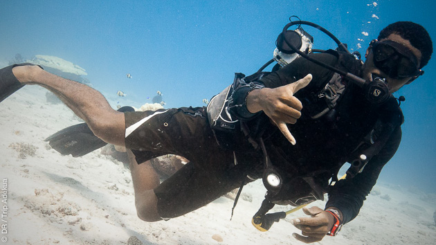 plonger en eau chaude aux seychelles