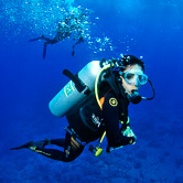 Votre agent de voyage trip adékua Votre agent de voyage plongée dive trip adékua