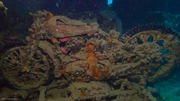 Une croisière exceptionnelle en mer Rouge avec 36 plongées