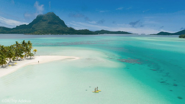Voyage plongée inoubliable en Polynésie