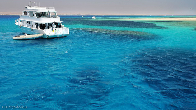 Votre croisière plongée en mer Rouge en Egypte