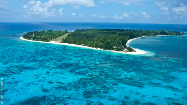 Profitez de cette croisière plongée pour découvrir les décors de rêve des Seychelles