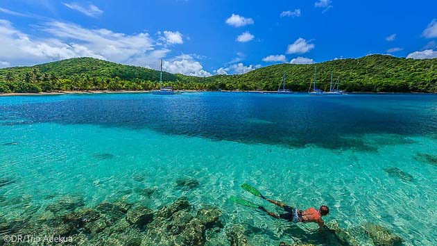 Découvrez les plus beaux sites de plongée des Caraïbes