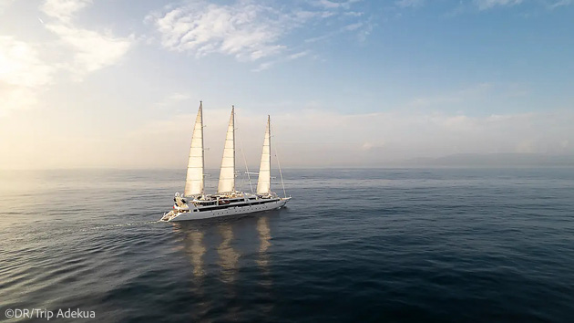 Votre voilier de luxe pour une croisière de rêve aux Caraïbes