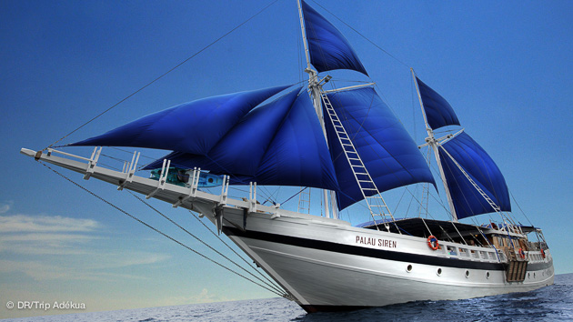 bateau plongée de luxe à Palau