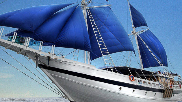 Découvrez la Micronésie pendant votre croisière plongée sur un bateau de luxe