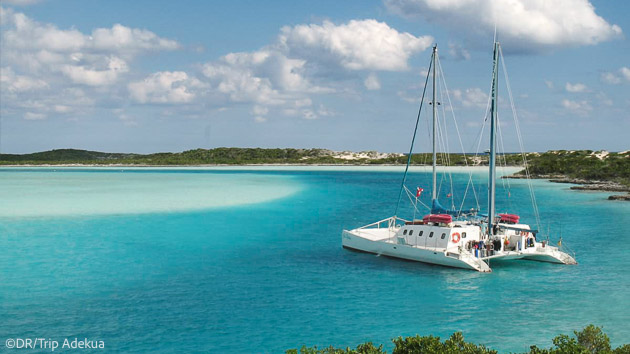 Croisière plongée de rêve en famille aux Bahamas