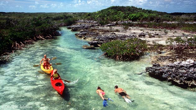 Découvrez les Bahamas pendant votre croisière plongée