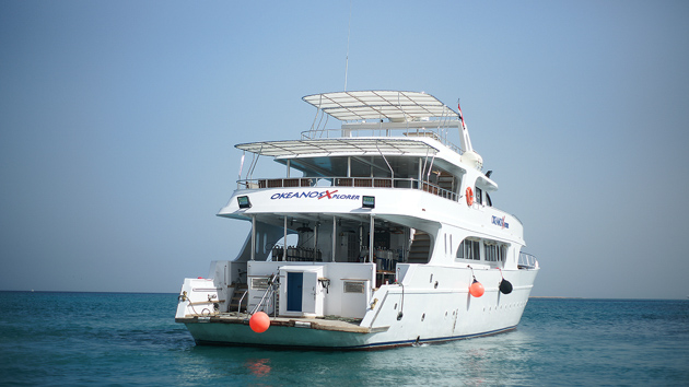 Un bateau de croisière plongée tout confort pour découvrir la mer Rouge