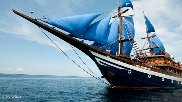 votre bateau pour une croisière de rêve à Komodo pour la plongée
