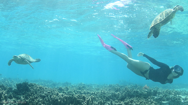 Sessions de snorkeling dans l'Océan Indien