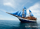 Au départ de Sorong, une magnifique croisière plongée à bord d'un bateau grand confort - voyages adékua