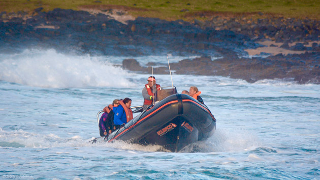 Votre bateau pour un Sardine Run inoubliable en Afrique du Sud