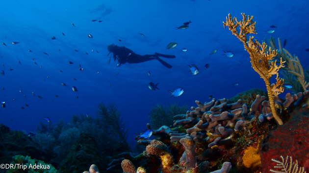 Plongez sur les plus beaux sites de Cuba