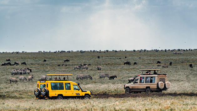 Safari de rêve en Tanzanie