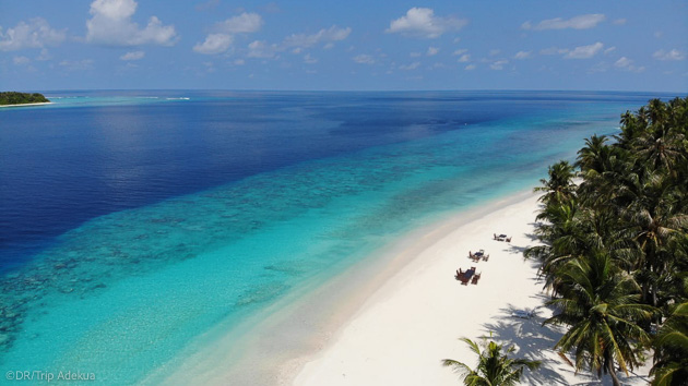 Découvrez la beauté des plages des Maldives pendant votre séjour plongée