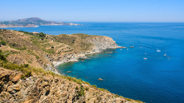 Découvrez les plus beaux sites de plongée de Méditerranée