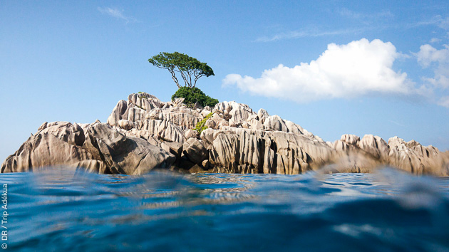 avis sur mon voyage plongée aux Seychelles