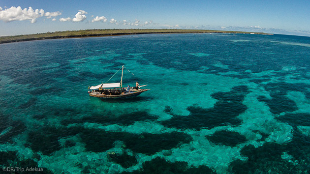 Un séjour de rêve sur les plus beaux sites de plongée de Tanzanie