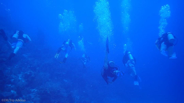 Plongée détente et découverte au Belize