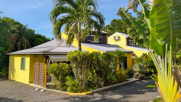Un séjour plongée avec immersions et hébergement en Guadeloupe