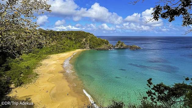 Explorez le Brésil pendant vos vacances plongée