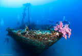 Explorez les plus beaux sites de plongée de Maurice - voyages adékua