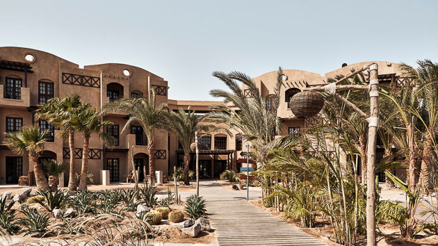 Un séjour plongée de rêve en Egypte avec hébergement en hôtel tout confort