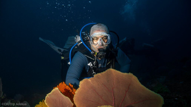 Découvrez les plus beaux sites de plongée de Coiba dans le Pacifique