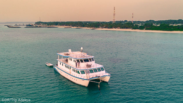 Les plus belles plongée des Maldives Nord pour vos vacances