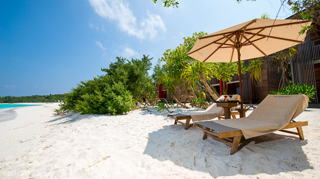 Profitez de la beauté des plages des Maldives entre deux plongées