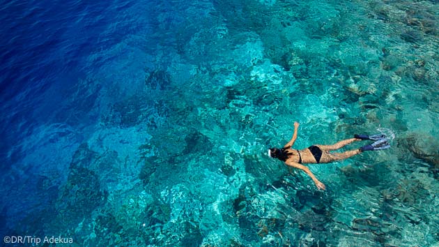 Plongée dans les eaux des Maldives