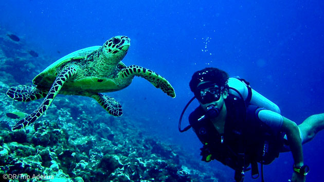 Vacances plongée avec hébergement aux Maldives