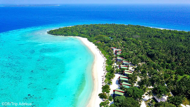 Votre séjour plongée dans le nord des Maldives