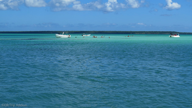 Explorez la mer des Caraïbes pendant votre séjour plongée