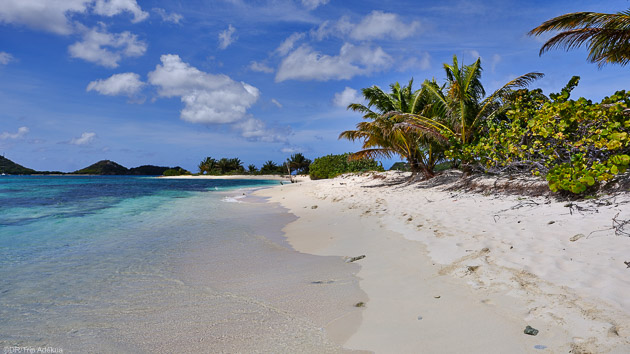 Profitez des plus belles plages des Caraïbes pendant votre séjour plongée