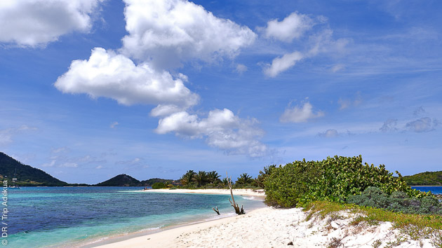 Plages de rêves et fonds marins préservés aux Caraïbes