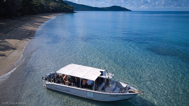 Découvrez les plus beaux sites de plongée de Mayotte