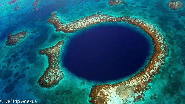 Partez à la découverte des plus belles plongées du Belize
