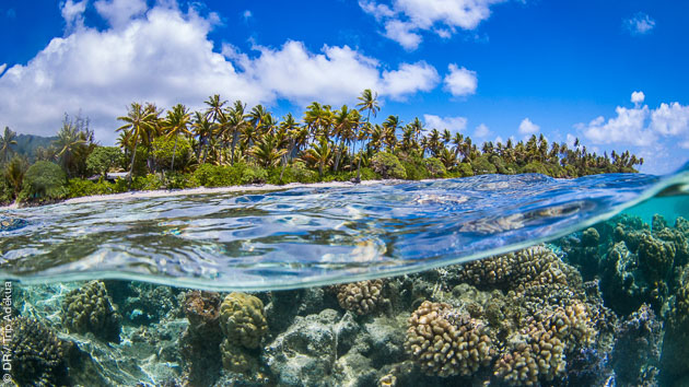 Entre Tahiti et Bora Bora, un séjour snorkeling de rêve
