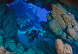Des plongées inoubliables en mer Rouge en immersions illimitées - voyages adékua