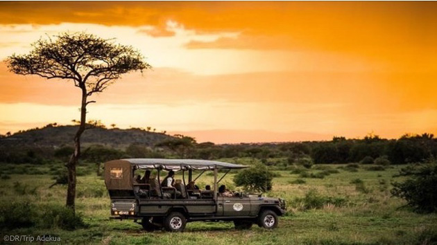 Découvrez les plus belles réserves d'Afrique pendant votre séjour en Tanzanie
