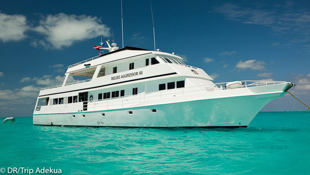 Votre croisière plongée à la découverte de fonds marins du Belize