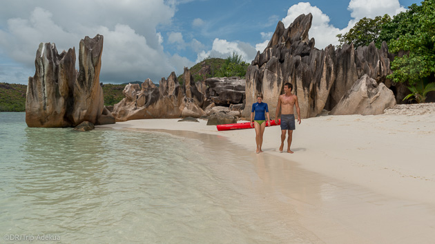 Découvrez les Seychelles pendant votre croisière plongée