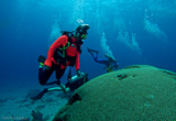 Speyside, la mecque de la plongée à Tobago - voyages adékua