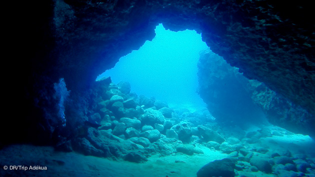 Un séjour unique avec 10 plongées pour découvrir les fonds de Lanzarote
